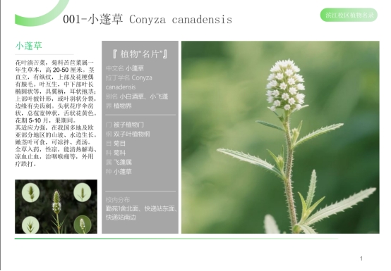 全球最大的博彩平台
