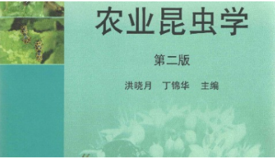 全球最大的博彩平台