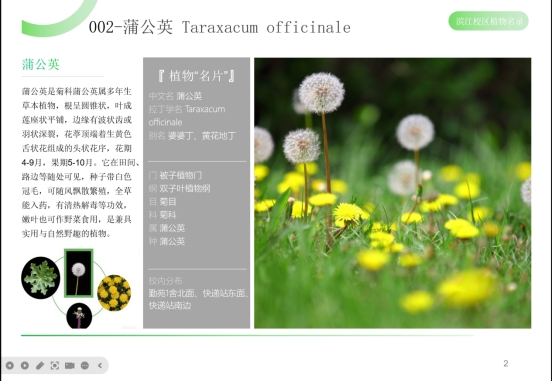 全球最大的博彩平台