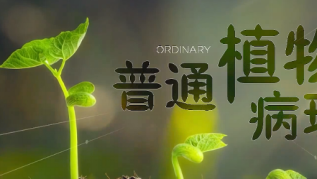 全球最大的博彩平台
