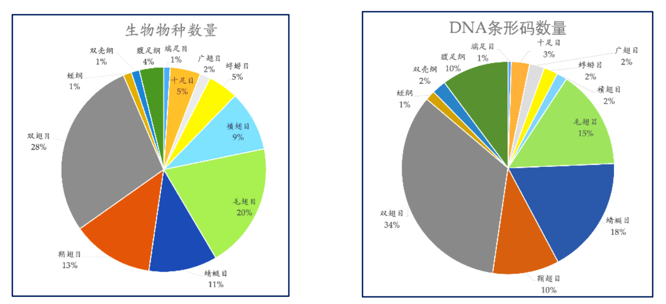 全球最大的博彩平台