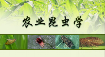 全球最大的博彩平台