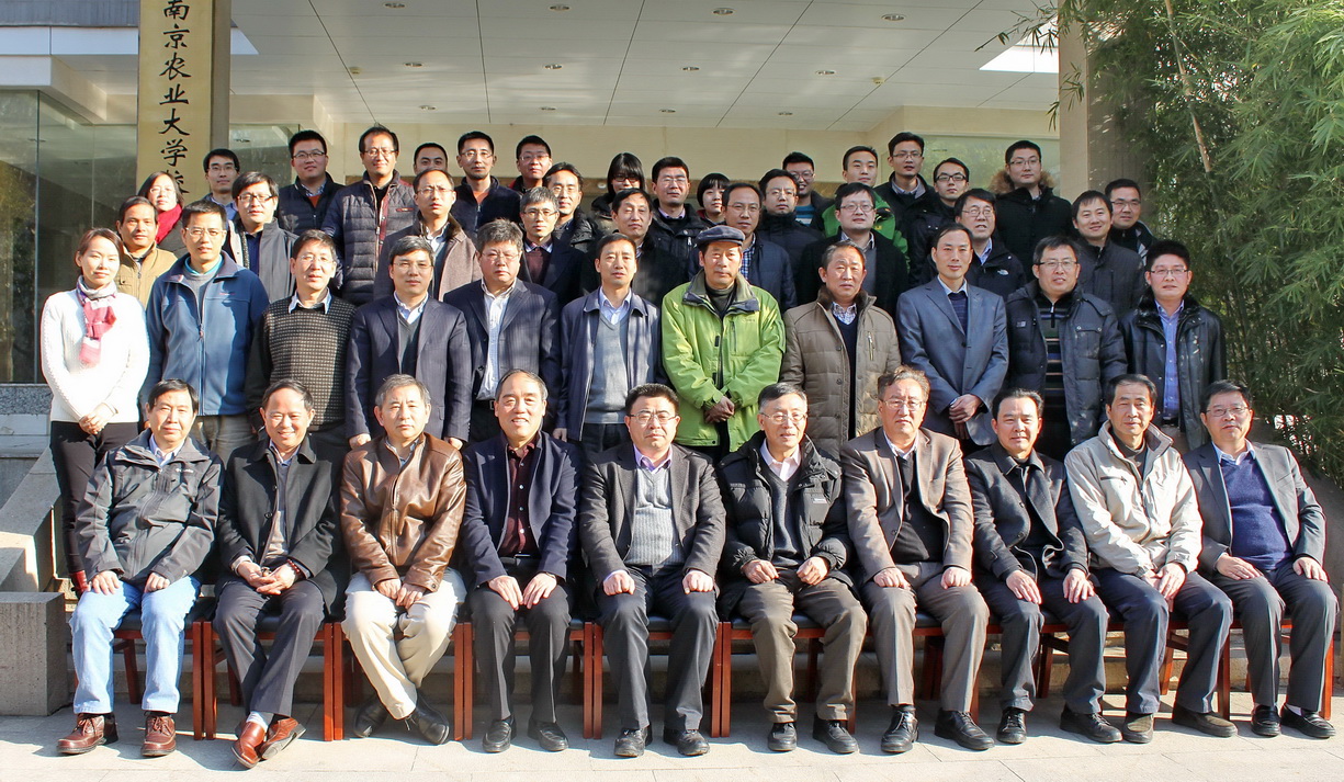 全球最大的博彩平台