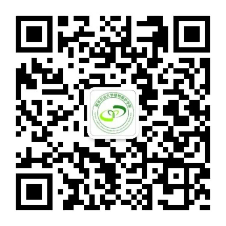 全球最大的博彩平台